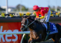 Beaten jockeys: Group 1 Queensland Derby