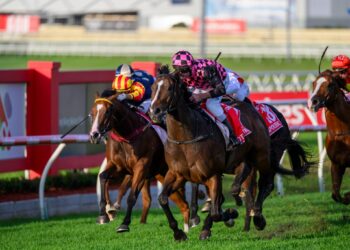 Heathcote’s hero stuns Doomben at $61