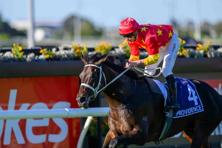 Providence won the Queensland Derby [Courtesy Michael McInally/Racing Queensland]