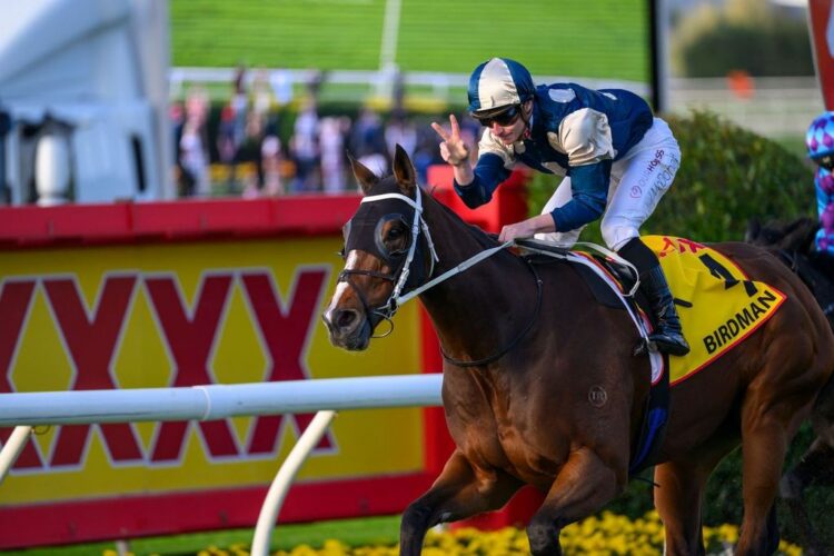 Birdman was the star of the show on Saturday but who is Gibbo keen to follow? (Photo: Michael McNally)
