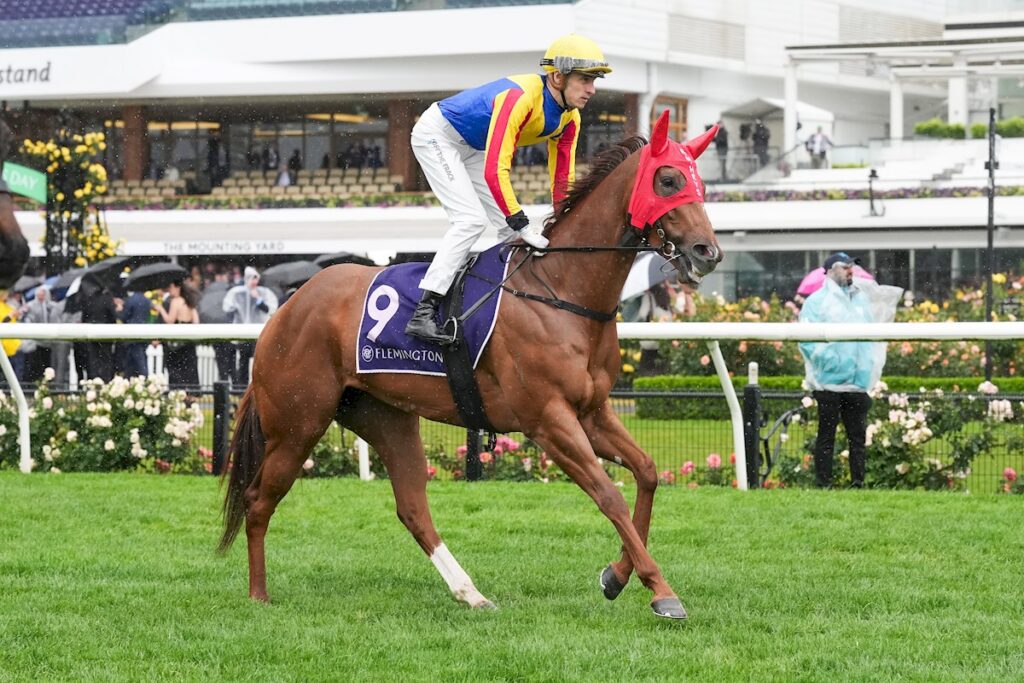 Group 1 payback: Lloyd eyes Goodwood redemption