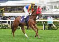 Group 1 payback: Lloyd eyes Goodwood redemption
