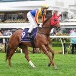Group 1 payback: Lloyd eyes Goodwood redemption