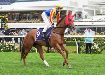 Group 1 payback: Lloyd eyes Goodwood redemption