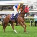 Group 1 payback: Lloyd eyes Goodwood redemption