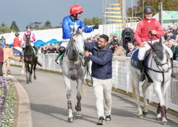 Fatbet Futures: Mitch Ellis picks the eyes out of Warrnambool feature race markets