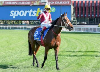Craig Williams’ Premiership gamble: Could Brisbane raid could cost him Victorian crown?