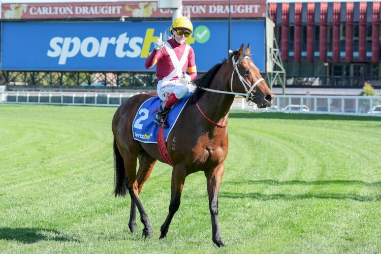 Craig Williams returns to the mounting yard aboard Obambulate after winning the Sportsbet Feed Handicap at Caulfield Racecourse on May 30, 2026 in Caulfield, Australia. (Photo by George Sal/Racing Photos)