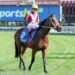 Craig Williams’ Premiership gamble: Could Brisbane raid could cost him Victorian crown?