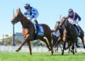 One bid filly chasing Group 1 glory