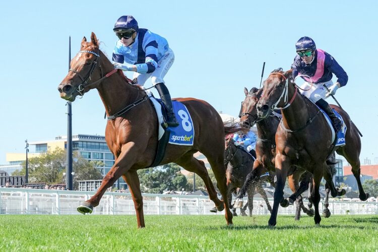 Extragalactic ridden by Luke Cartwright wins the Jack Elliott Handicap at Caulfield Racecourse on April 04, 2026 in Caulfield, Australia. (Photo by George Sal/Racing Photos)