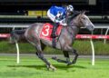 Accidental Bid eyes Queensland Derby dream after English journey