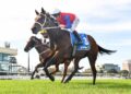 Dean Watling’s NSW Trial Wrap: The standout performers from the trials