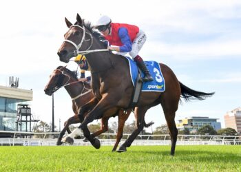 Dean Watling’s NSW Trial Wrap: The standout performers from the trials