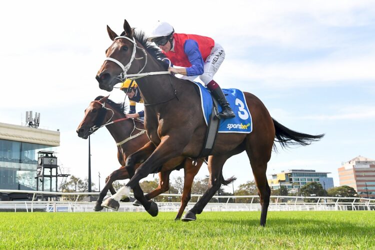 Ertijaaj (GB) ridden by Ben Melham wins at the Caulfield Heath (Photo by Pat Scala/Racing Photos)