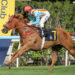 Purton closing on 2000 wins as Moreira targets elusive Group 1