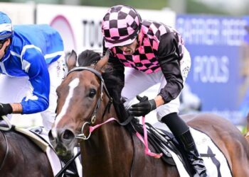 Heathcote’s hero stuns Doomben at $61