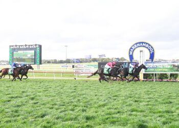 Obscure rule scratches mudlark in unlikely ‘Bool bid