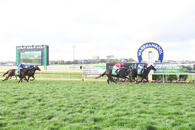 Boltsaver is denied by Dantooine ridden by Beau Mertens wins the Sinclair Wilson BM70 Handicap at Warrnambool Racecourse on May 06, 2026 in Warrnambool, Australia. (Photo by Reg Ryan/Racing Photos)