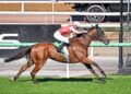 Earmuffs unlock Melbourne Cup hopeful