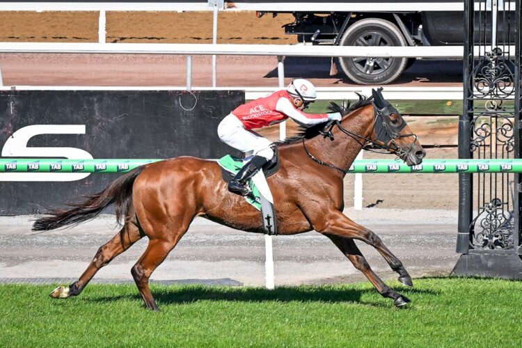 The Western Front (NZ) ridden by Luke Currie wins the TAB We're On at Flemington Racecourse on April 25, 2026 in Flemington, Australia. (Photo by Reg Ryan/Racing Photos)