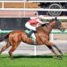 Earmuffs unlock Melbourne Cup hopeful