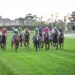 MRC say they accept Caulfield track criticism, blame ‘tired’ surface needing refurbishment