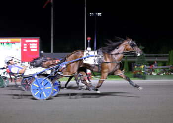Different Code, JMac still wins the feature: MacDonald Delivers North America Cup Glory