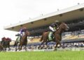 $400,000 without a win: Can Belvedere Boys finally get his reward?