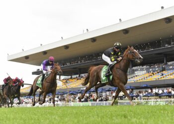 $400,000 without a win: Can Belvedere Boys finally get his reward?