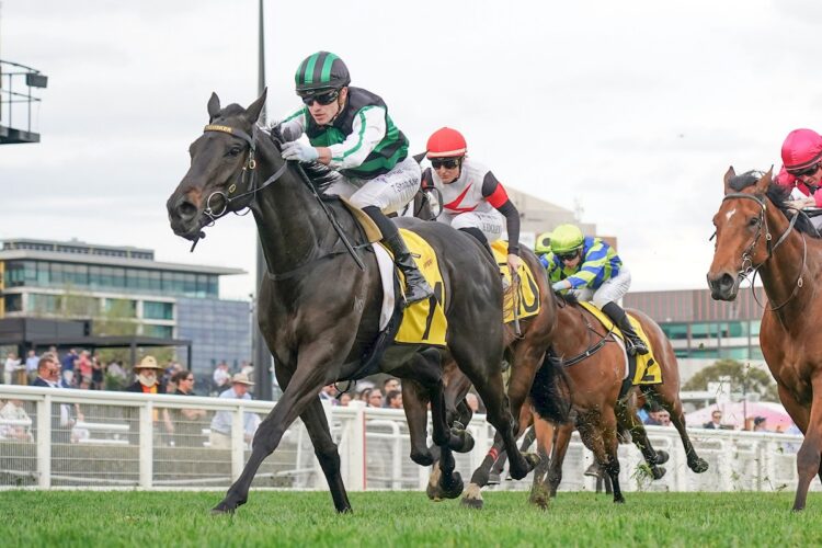 Poison Chalice (NZ) ridden by Thomas Stockdale wins the Schweppes Handicap at Caulfield Racecourse on October 16, 2024 in Caulfield, Australia. (Photo by Scott Barbour/Racing Photos)
