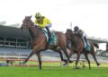 Stradbroke dream alive as Begg rolls the dice with King Zephyr