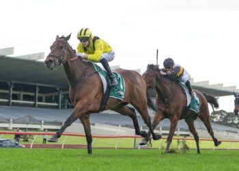 Stradbroke dream alive as Begg rolls the dice with King Zephyr