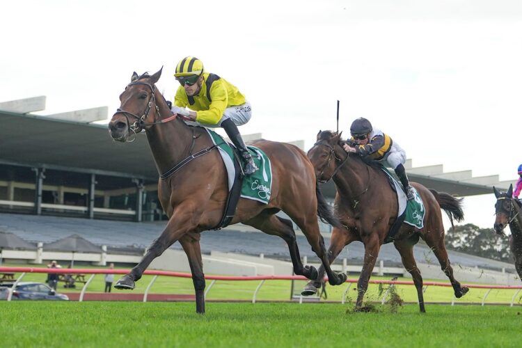 King Zephyr ridden by Jordan Childs wins the Evergreen Turf Handicap at Sportsbet Sandown Hillside Racecourse on September 27, 2025 in Springvale, Australia. (Photo by Scott Barbour/Racing Photos)