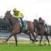 Stradbroke dream alive as Begg rolls the dice with King Zephyr