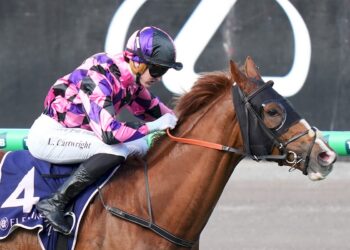 Brave Danza handed golden opportunity after Maher scratching