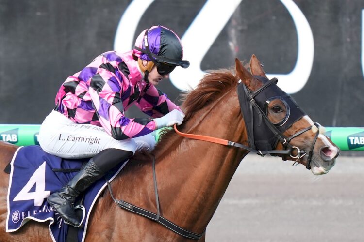 Brave Danza ridden by Luke Cartwright wins the Trevor Clarke Handicap at Flemington Racecourse on May 16, 2026 in Flemington, Australia. (Photo by Scott Barbour/Racing Photos)