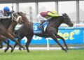 The filly that sparked Rae’s purple patch