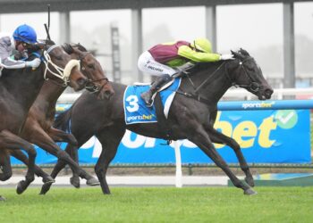 The filly that sparked Rae’s purple patch
