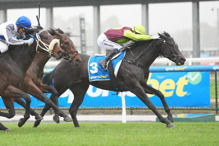 I'm Foxing ridden by Jamie Melham wins the Sportsbet Get On Extra Handicap at Caulfield Heath Racecourse on May 20, 2026 in Caulfield, Australia. (Photo by Scott Barbour/Racing Photos)