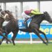 The filly that sparked Rae’s purple patch