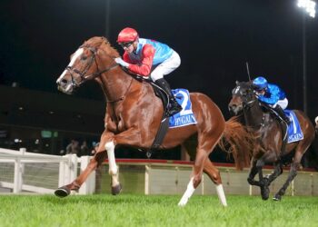 Stable whisper or pure coincidence? TAB punter piles into Gelagotis pair