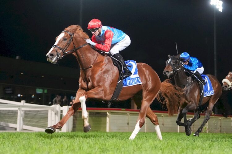 Mongolian Gobi has been one of the best backed runners with TAB ahead of the weekend (Credit: Racing Photos)