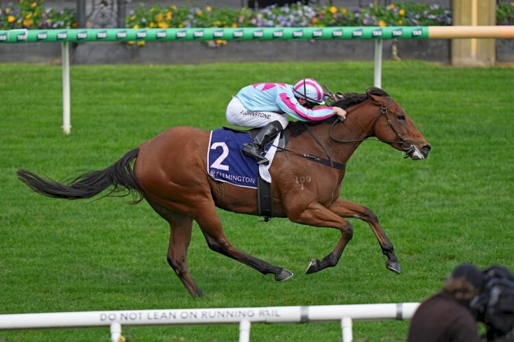Duchess Zou ridden by Jabez Johnstone wins the 20 Years of Living Legends Trophy (Photo by Scott Barbour/Racing Photos)