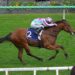 Johnstone rebounds after hairy ride at Flemington