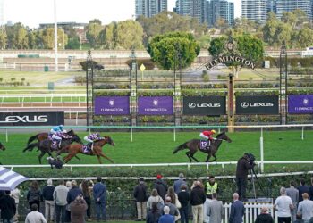 Bryan Martin’s Flemington warning: ‘This once great racecourse has lost it’s soul’