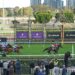 Bryan Martin’s Flemington warning: ‘This once great racecourse has lost it’s soul’