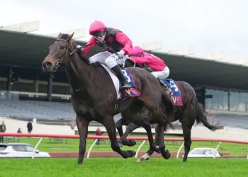 Zoustar can wait: Coeur Volante still has a job to do
