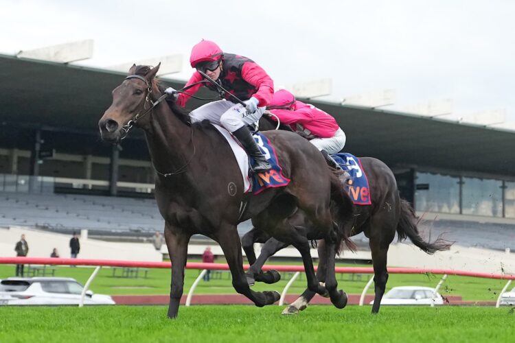 Coeur Volante ridden by Jackson Radley wins at Sportsbet Sandown Hillside Racecourse on June 13, 2026 in Springvale, Australia. (Photo by Scott Barbour/Racing Photos)