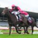 Zoustar can wait: Coeur Volante still has a job to do